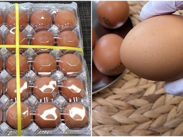 척보면 아는 싱싱한 계란 고르는 꿀팁