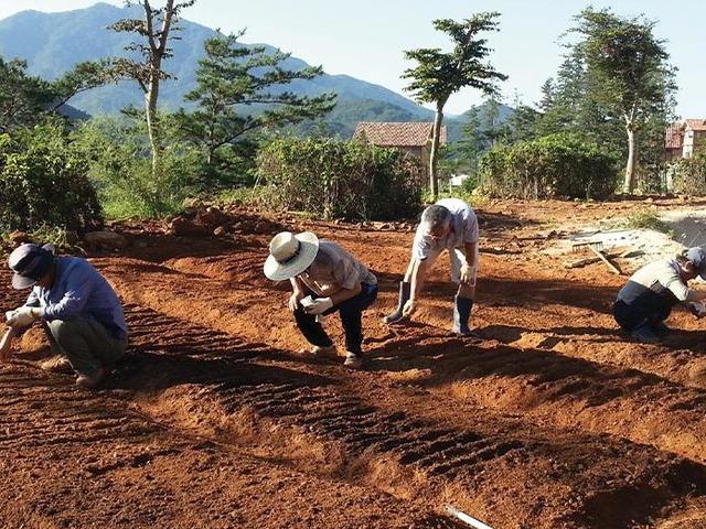 곡성 강빛마을, 우리만의 시골 마을에 모여 함께 삽니다