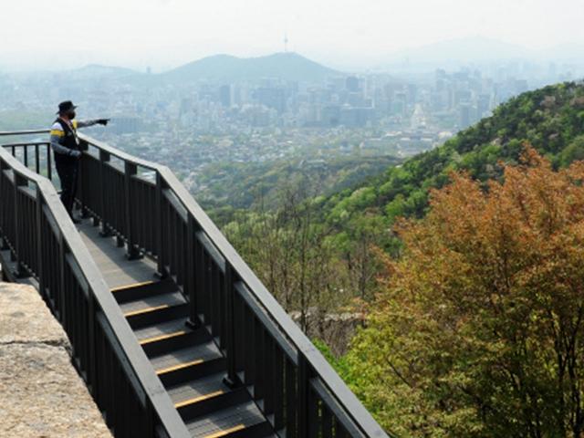 반세기 금단의 숲<strong>길</strong>, 자유를 거닐다