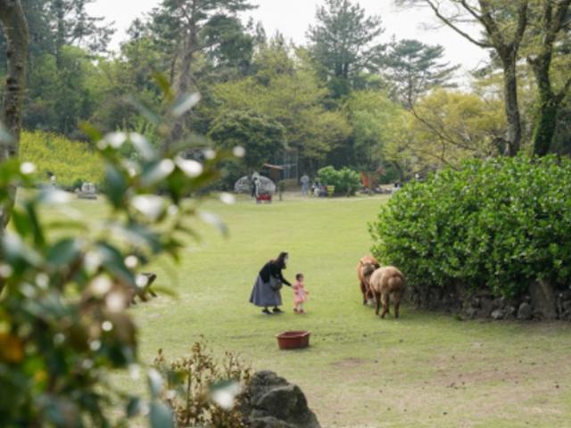 제주 <strong>가볼만한곳</strong> :: 가족과 함께 제주 화조원 어때요?