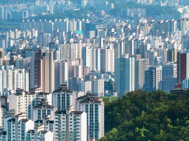 "이런 집은 절대 피하세요" 84만 부동산 멘토의 경고