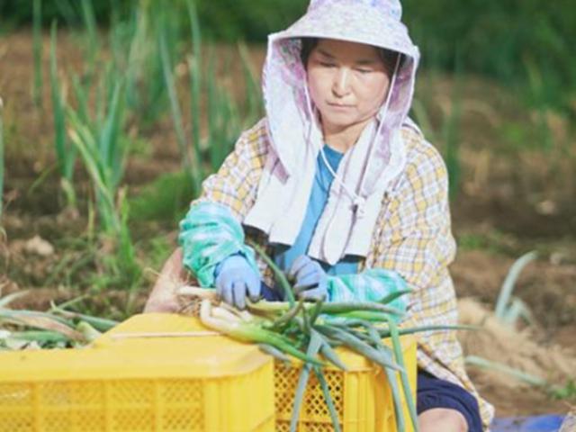 "엄마들의 해방 아닐까요?" 안방 울린 '미정 엄마'