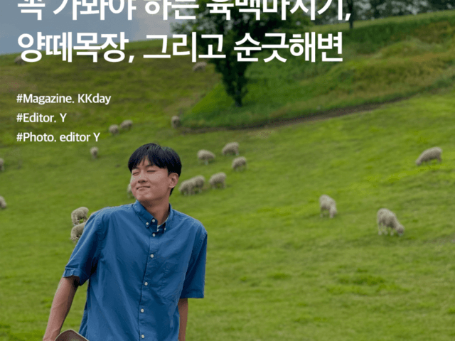 <strong>강원도</strong> 여행 :: 꼭 가봐야 하는 <strong>평창</strong> 육백마지기, 대관령 양떼목장, 강릉 순긋해변