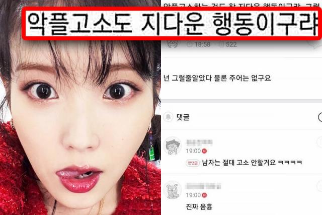 “절대 선처없다”는 아이유에게 도넘은 댓글 단 악플러, 결국 이렇게 됐다