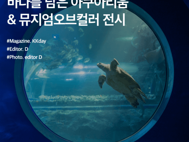<strong>여수</strong> 아쿠아플라넷 할인 :: 바다를 담은 아쿠아리움 & <strong>뮤지엄</strong>오브컬러 전시