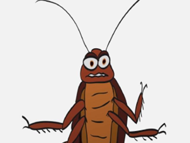공공의 적, 바퀴벌레 퇴치의 A to Z