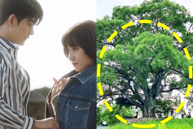 ‘우영우’ 덕에 대박난 촬영 장소, 벌써부터 최악의 상황 맞았다