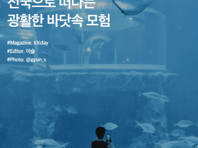 전국 아쿠아플라넷 추천 :: 전국으로 떠나는 광활한 바닷속 모험