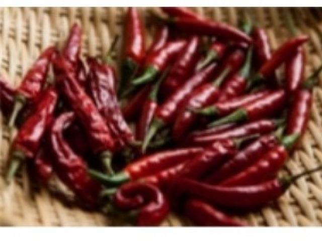 ‘토마토 대신 고추’ 일본, 고추 착색료 대두
