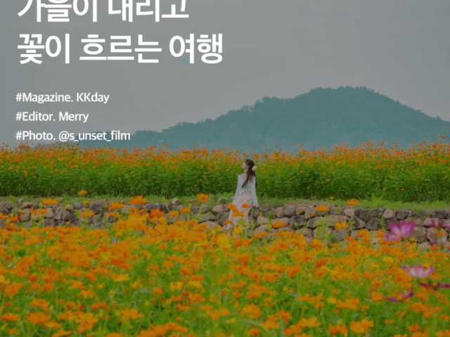<strong>9월</strong> <strong>국내</strong> 여행지 추천 :: 가을이 내리고 꽃이 흐르는 <strong>여행</strong>