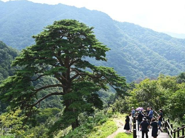 행여 정령치에 오시려거든… 짧은 <strong>트레킹</strong>으로 지리산 맛보기