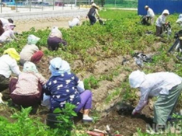 남자보다 수명이 긴 이유는 바로 ‘이것’!