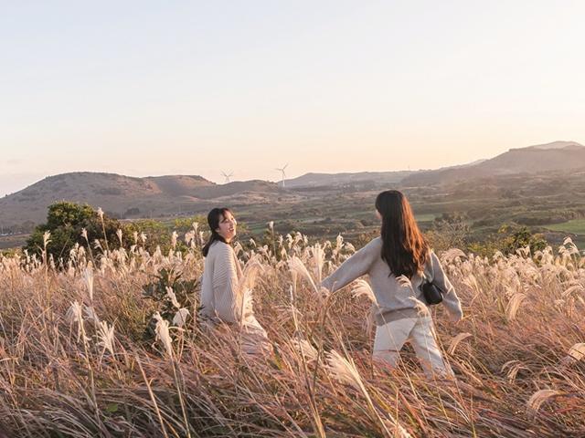 카름스테이, <strong>제주</strong>의 마을 속으로