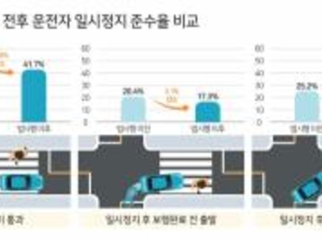 우회전 차량, 횡단보도 일시정지 비율 15.8%P 증가해