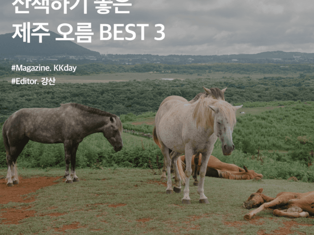 제주도 오름 총정리 :: <strong>산책</strong>하기 좋은 제주 오름 BEST 3