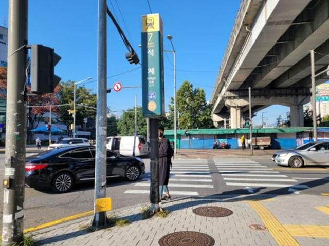 횡단보도 파란불인데 앞차 향해 경적 빵빵