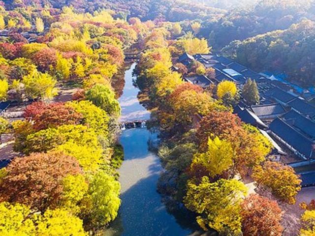 힘든데 산을 왜 올라가? <strong>단풍</strong> 사진 의외의 명소, 테마파크 어디