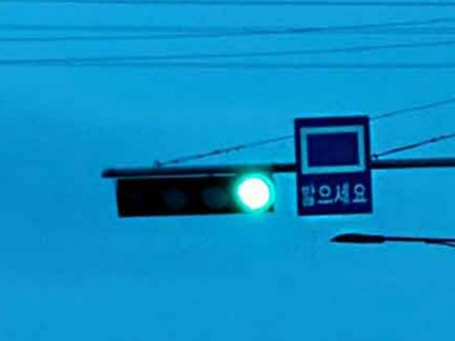 신호등 옆 '밟으세요' 표지판…무슨 뜻인가요?