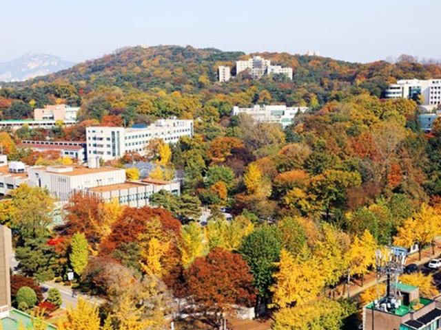 이런 단풍 명소가 있었나? 세계 홀린 <strong>서울</strong>의 특이한 이 모습