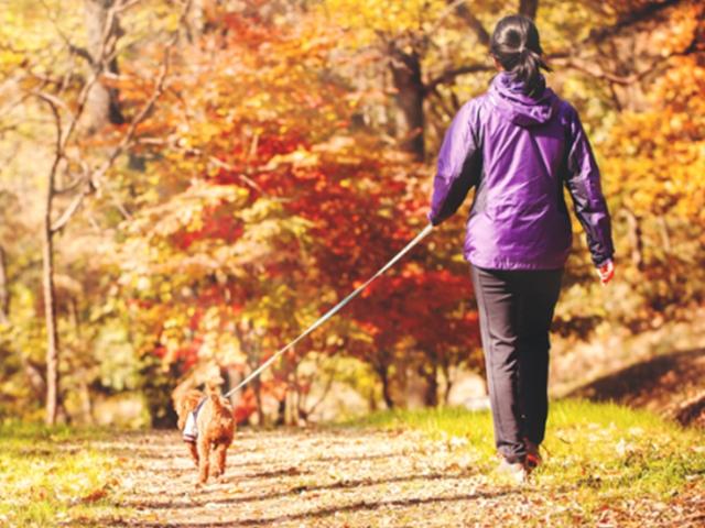 반려견 데리고 단풍놀이 왔는데 <strong>과태료</strong>를 내라고요?