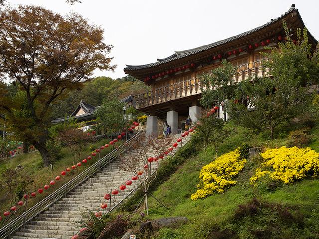 가을 저물기 전… `형형색색 <strong>산사</strong>의 풍광`