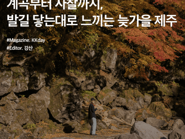 제주 단풍 명소 BEST 3 :: 계곡부터 <strong>사찰</strong>까지, 발길 닿는 대로 느끼는 제주의 늦가을