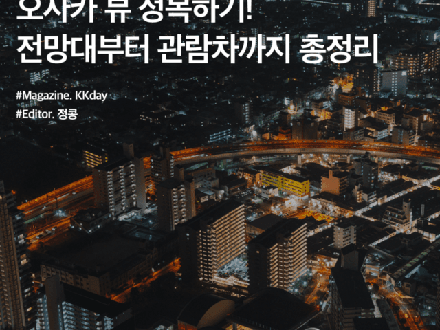 <strong>오사카</strong> 전망대 추천 :: <strong>오사카</strong> 뷰 정복하기! 하루카스300 & 햅파이브 <strong>관람차</strong> & <strong>오사카</strong>성 전망대
