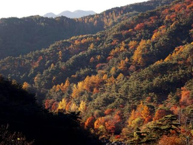 ‘마음은 부자’ 되는 소박한 지리산둘레길