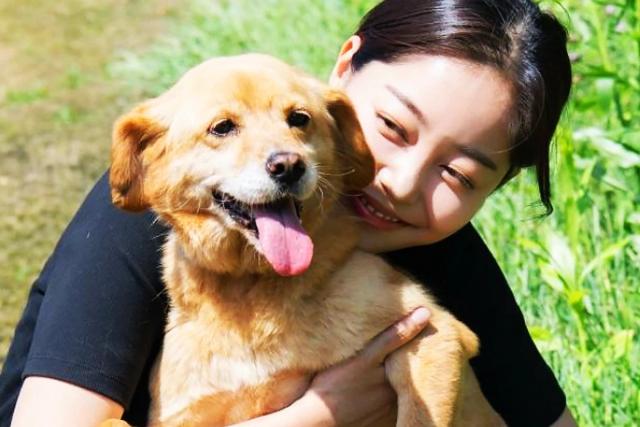 반려동물 ‘사지 않고 <strong>입양</strong>’하면 이 정도 금액 받을 수 있습니다