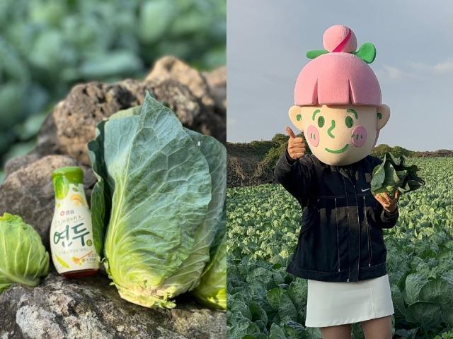 “제주 밭작물로 요리~해요”…샘표, 새미네마켓 라이브로 채소 요리법 공개