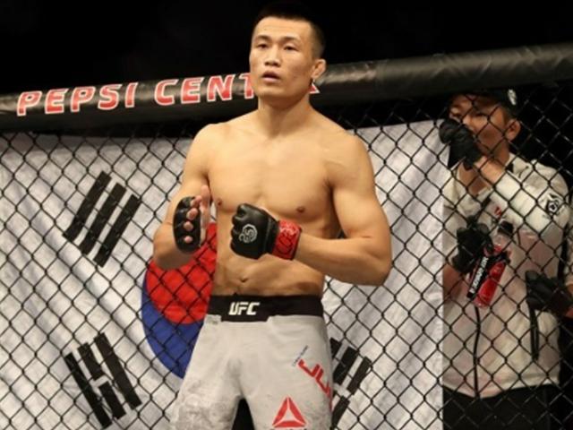 세계 최고의 종합 격투기 단체 'UFC' 의 모든 것