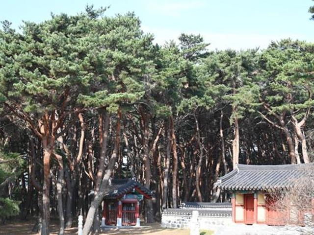 월송정 아래 숨겨진 <strong>일출 명소</strong>… 바다 보기 좋은 울진