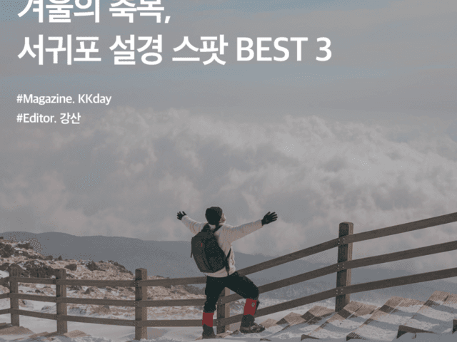 서귀포 가볼만한곳 추천 :: 겨울의 축복, 서귀포 <strong>설경</strong> 스팟 BEST 3