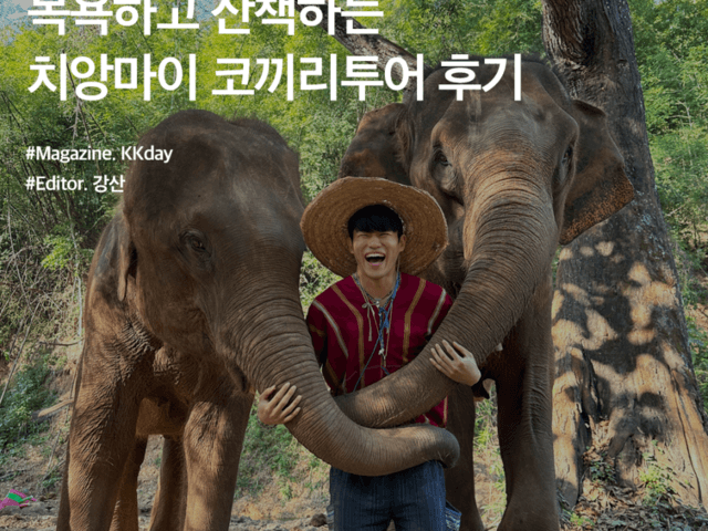 가족이 되어줄게, 목욕하고 산책하는 <strong>치앙마이</strong> 코끼리투어 후기
