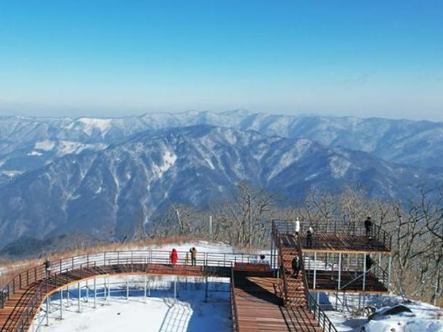 헤집은 상처 여전한데... 해발 1400m 환상 설경