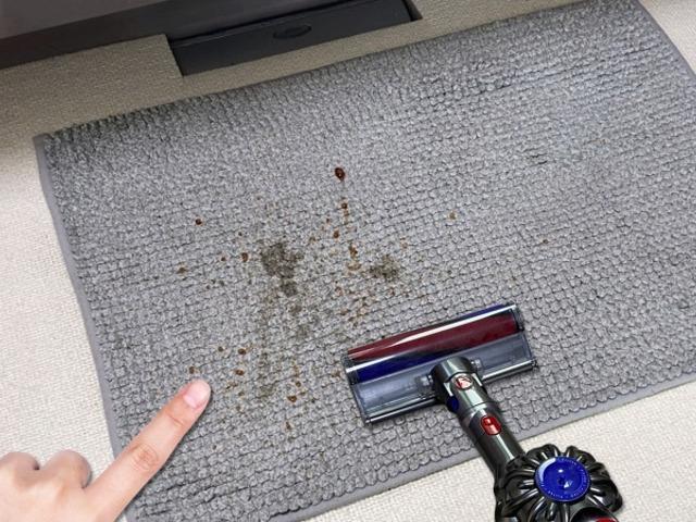 카페트얼룩 세탁기 말고 청소기로 지우는 비법
