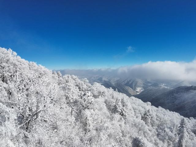 아름다운 눈꽃·상고대 보러 발왕산 올라볼까