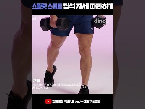 스플릿 스쿼트 정석 자세 따라하기 #shorts #하체운동 #스쿼트자세