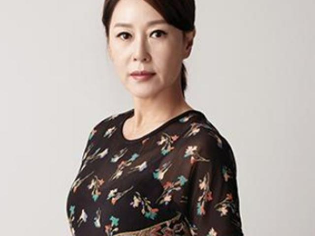 은퇴한 배우에서 다시 배우로