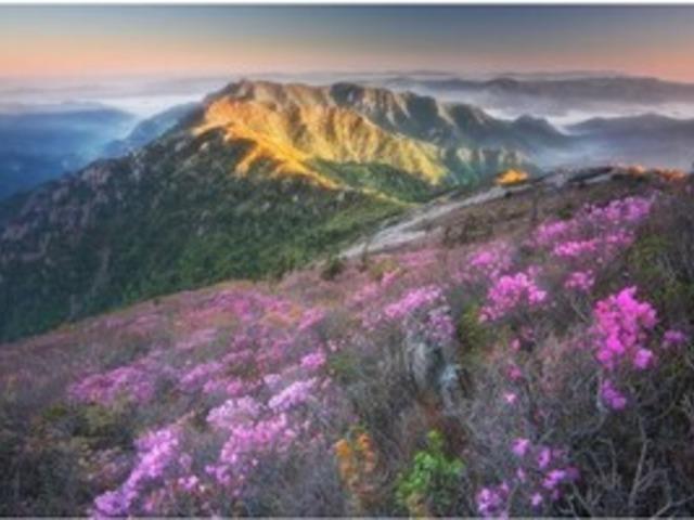 월간산 추천, 5월에 갈 만한 산 BEST 4