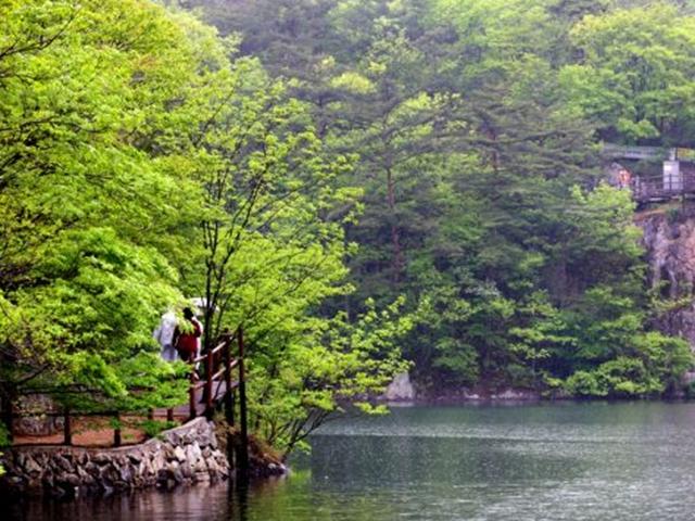 [조용준의 여행만리]새소리 바람소리 고요한 동행, 직소폭포가는길