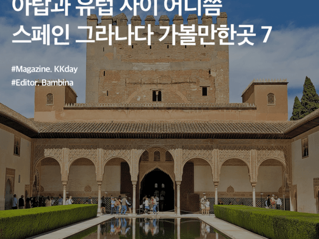 서유럽 여행 :: 아랍과 유럽 사이 어디쯤, 스페인 <strong>그라나다</strong> 가볼만한곳 7