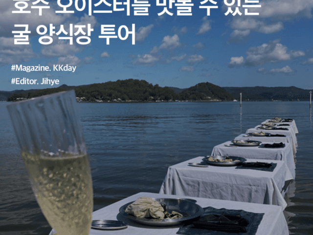 시드니 이색 체험 추천 :: 호주 오이스터를 맛볼 수 있는 굴 양식장 투어