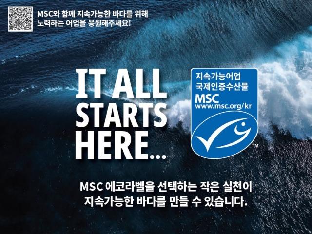 오늘은 세계 해양의 날…해양관리협의회 “남획 종식된다면 수백만 명 식량 생산될 수 있어”