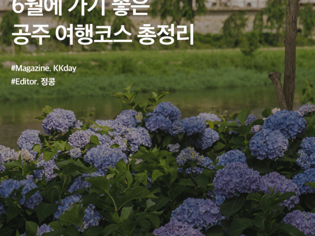국내 <strong>여름</strong> <strong>여행지</strong> 추천 :: 공주 여행코스 - 숲너울카페 & 엔학고레 & 유구색동수국정원