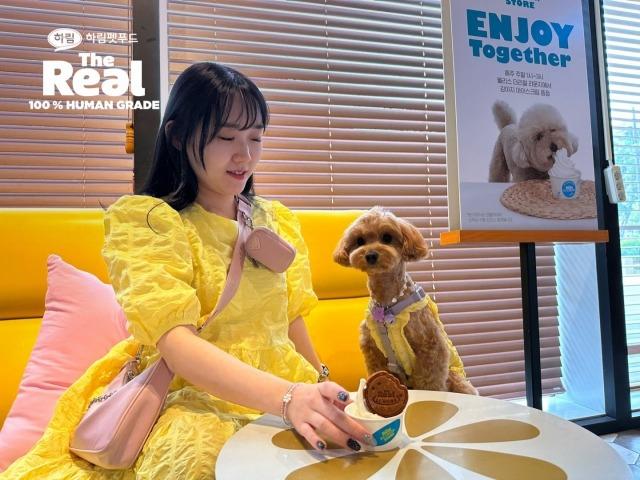 아이스크림 먹으러 몰리스 펫샵…하림펫푸드, 더리얼 <strong>팝업</strong> 오픈