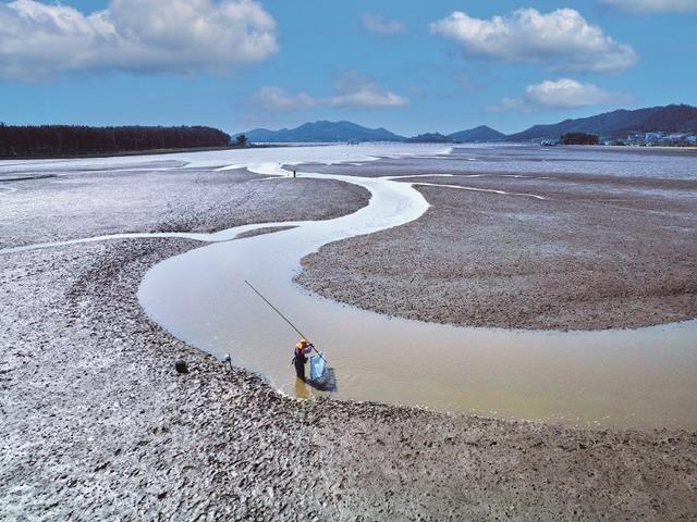 <strong>신안</strong>의 보물, 증도