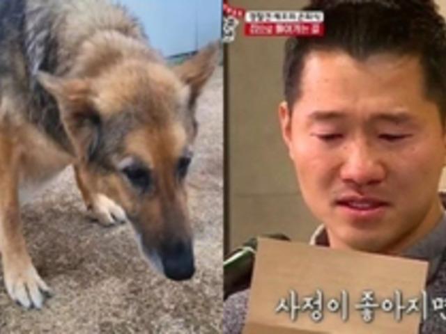 “고통스러웠다” 세상 떠난 레오, <strong>강형욱</strong>이 아직도 슬퍼하는 이유