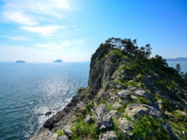 <strong>비</strong>진한 여름 섬, 비진도