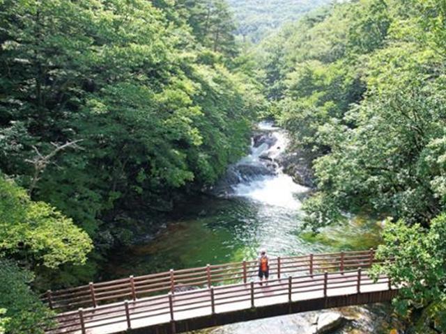 탄·담·대·폭·소… 덕유산 골짜기 서늘하게 적시는 33폭 산수화